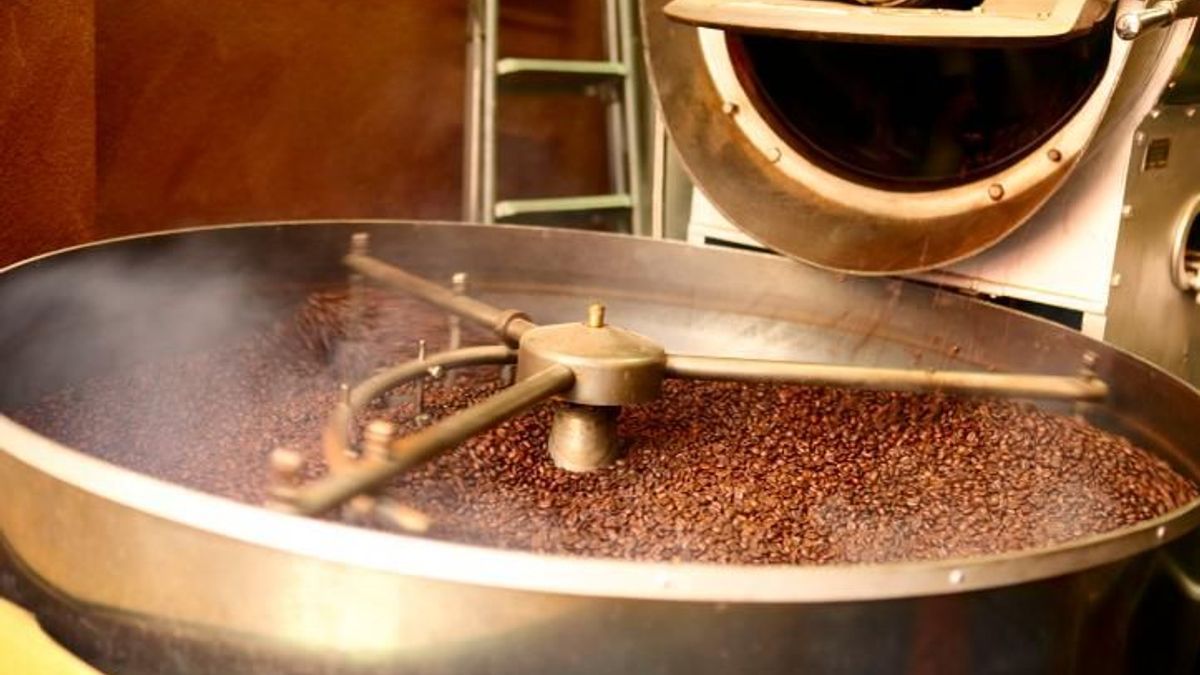 Etapes de fabrication du café